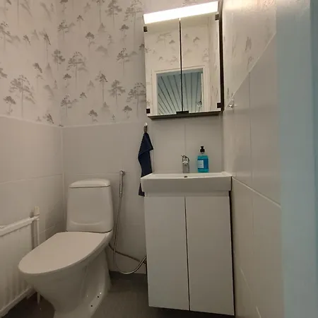 Apartment Koivukuja *